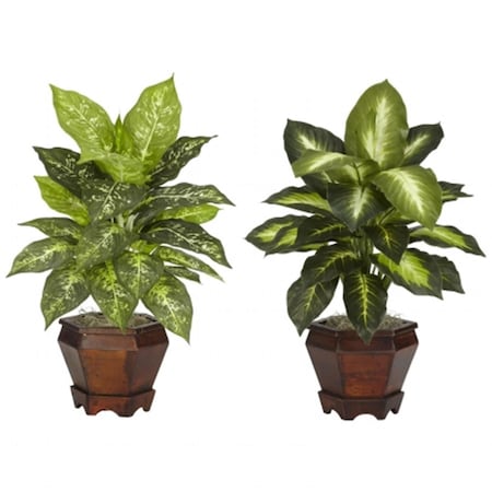 Nearly Natural Dieffenbachia with Wood Vase Silk Plant -Set of 2, 2PK 6712-S2-AS